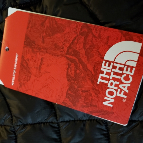 The North Face Thermoball Eco Mens Vest - Picture 3 of 6